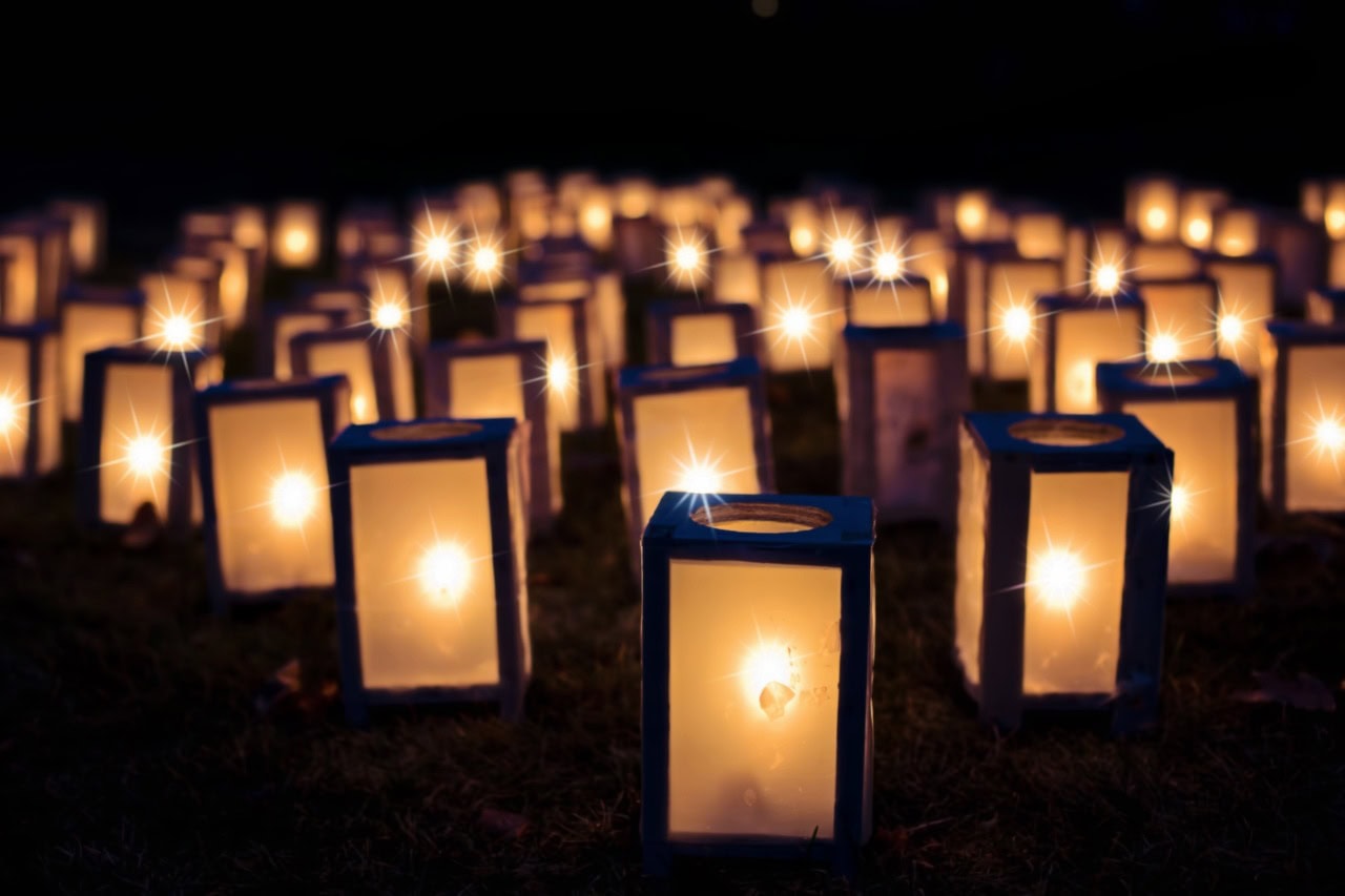 Dalí College maakt kunstwerk voor Alkmaar Lightfestival